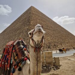 Egypten