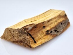 Palo Santo