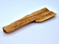 Palo Santo