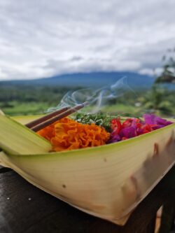 Offerrøgelse fra Bali, Selat